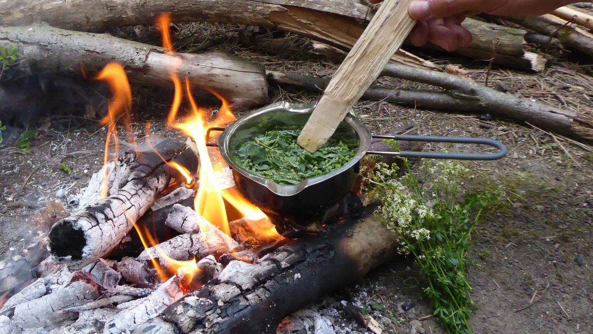 Survival jedzenie
